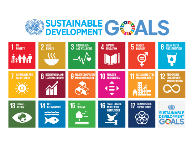 Solu Digital's corporate responsibility goals are based on the UN Sustainable Development Goals